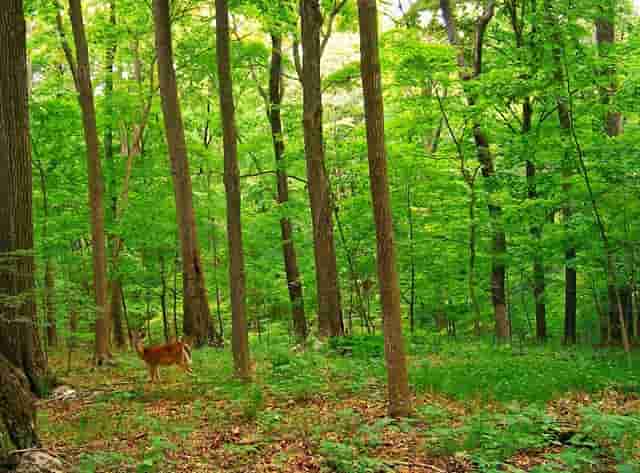 我国关于绿色出行的提倡