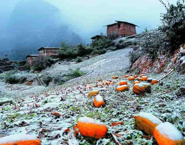临床医学学专科学校