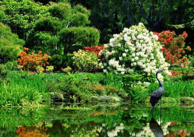 最低8万 宝安万科大都会今日注册