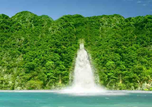 袖虎病猫攻略：老年猫常见病