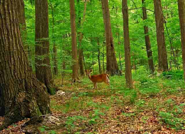 芯片制程和台积电