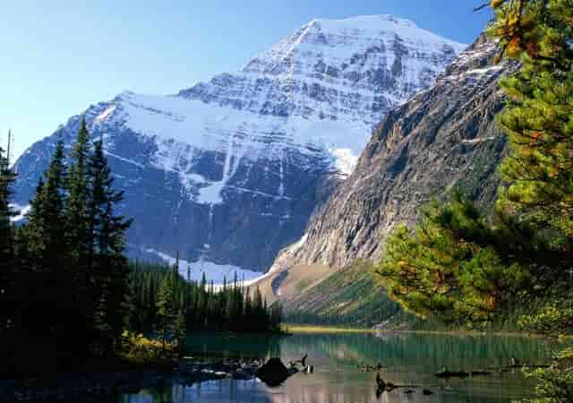 全面RRR还原！楼市的春天又来了吗？