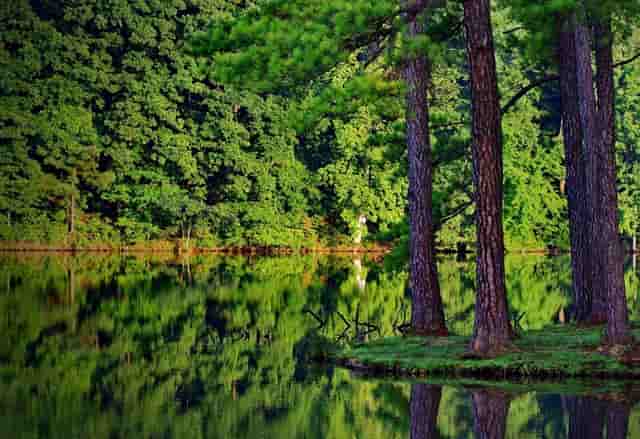 教师工资真的很低？25省老师实报工资告诉你答案！