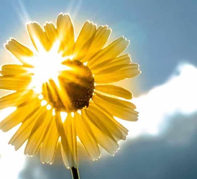 镇原一中录取分数线2021