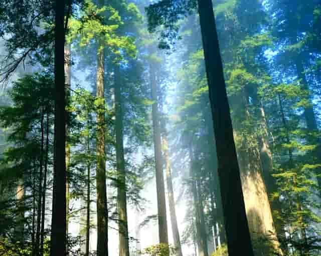 辽宁红河峡谷漂流旅游遭不公待遇 始作俑者遭调离