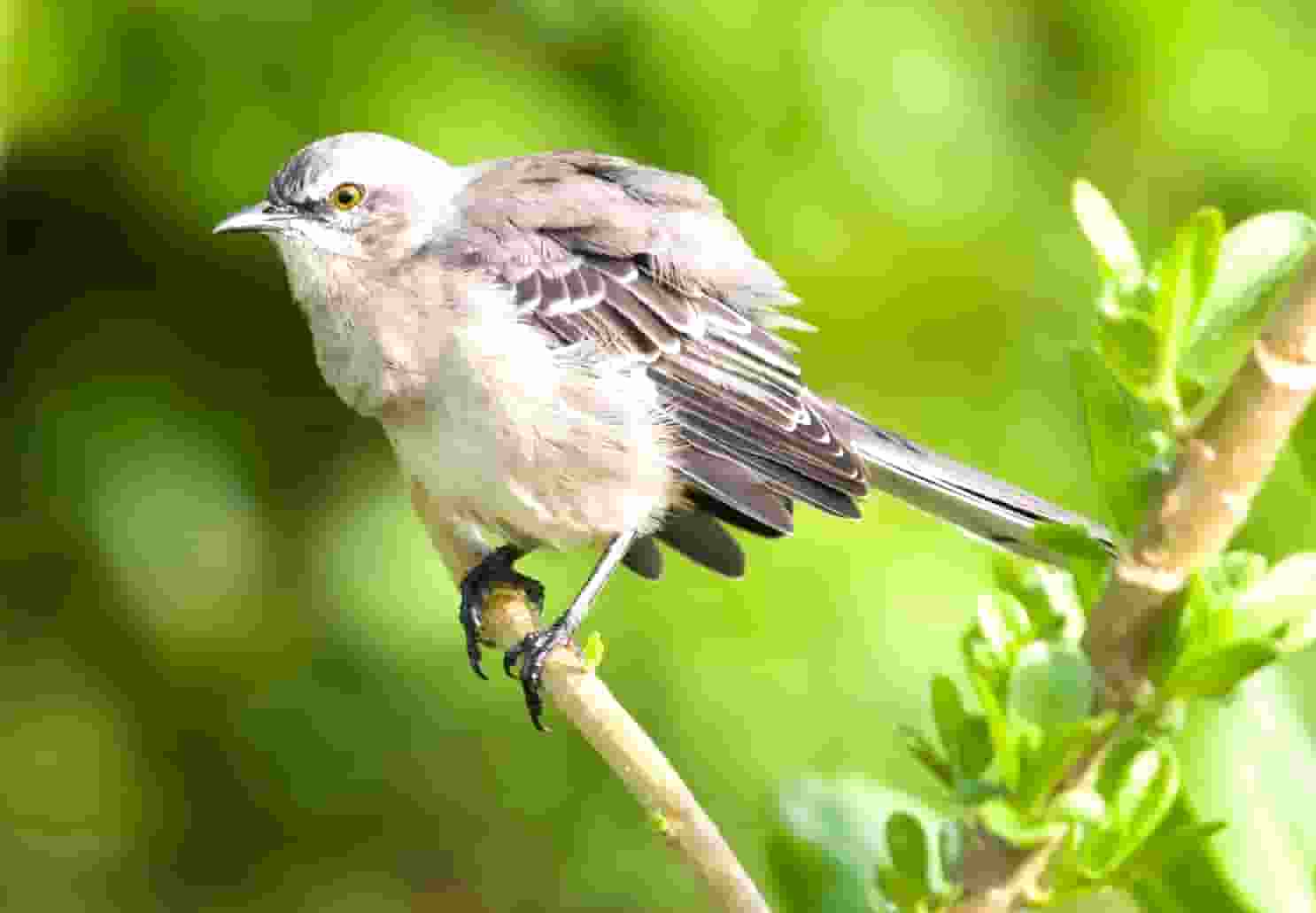 出远门为什么容易闹肚子？随身带上2种药，让肠道乖乖“听话”