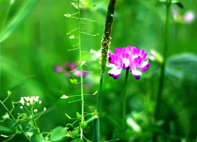 中介费用不一样