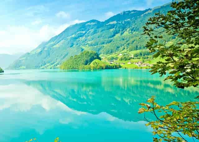 狗狗不小心与主人走散了，竟自己跑去宠物医院求助：真不让狗省心