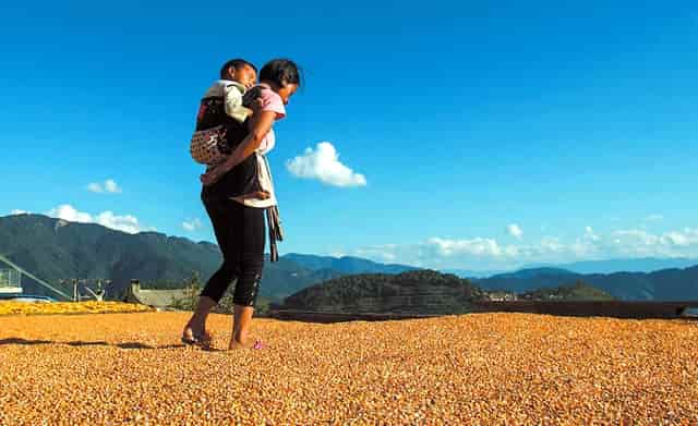 HECT澳洲瀚德移民： 别在傻乎乎无脑留学澳洲了，这份攻略请收好！