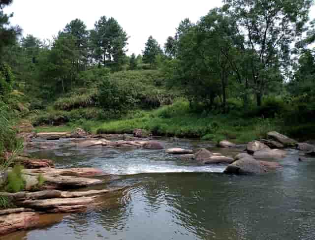 关于河南扶贫政策