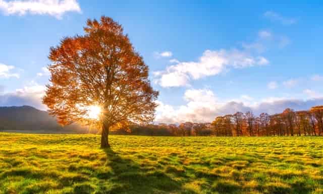 最新的抗衰老技术