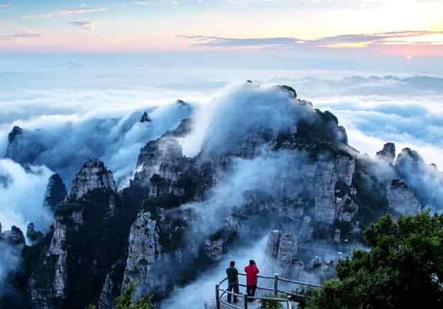 鹅蛋最近的视频(假鹅蛋制作过程视频)