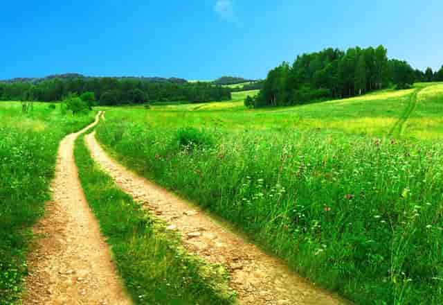 袖虎宠物告诉你：要学会避雷中国宠物行业无效信息！