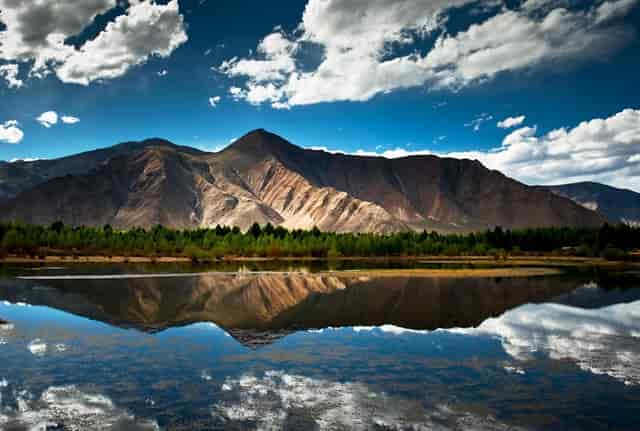 袖虎说下，怎么训练猫咪在猫砂里大小便