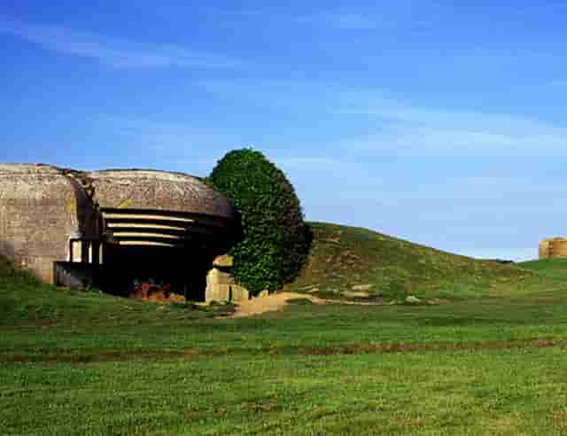 因为皮肤痒(皮肤到晚上很痒咋回事)