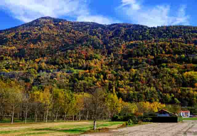 2021奥运会同款口罩(2021春晚同款口罩)