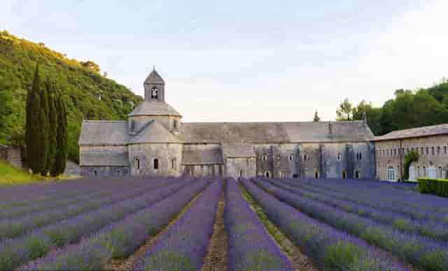 近期油价还会上涨还是跌(油价未来还会上涨吗)
