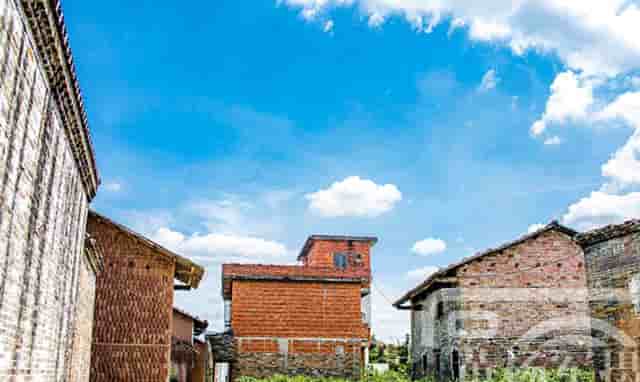 能否开展专题组织生活会(如何开展专题组织生活)