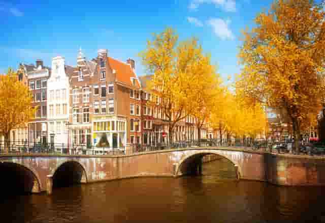 淘特用什么商家软件(淘特用什么注册)