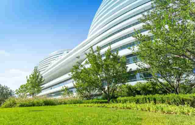 袖虎病狗攻略：犬心丝虫有多可怕？