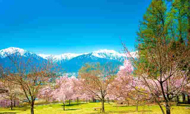 火兔携手非遗文化，讲好传统文明故事