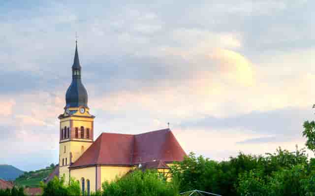 东京奥运会谢震业赛程(谢震业参加东京奥运会吗)