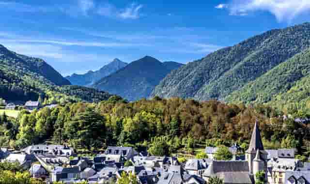 袖虎宠物带你避雷星期猫！不可马虎大意！