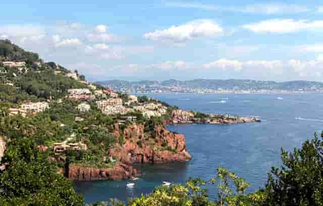 母亲大街上找儿子(美国母亲找儿子)