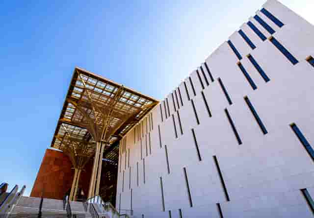 大蒜治肠胃的药叫啥(大蒜治肠胃吗)