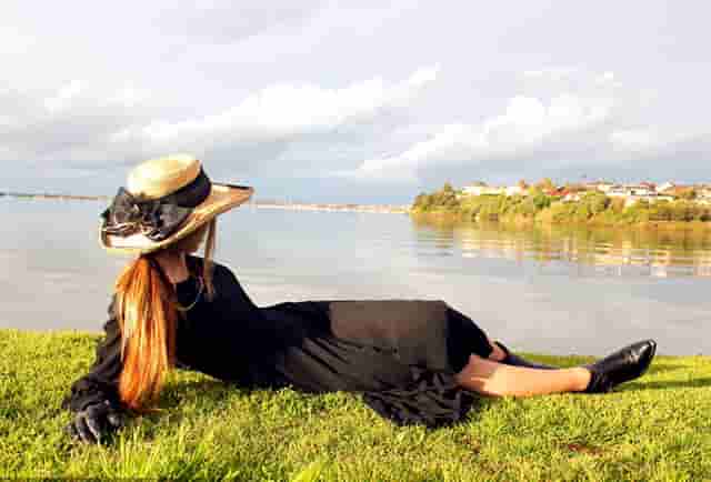 龙骨知识讲解视频大全(养花知识大全及图片龙骨)