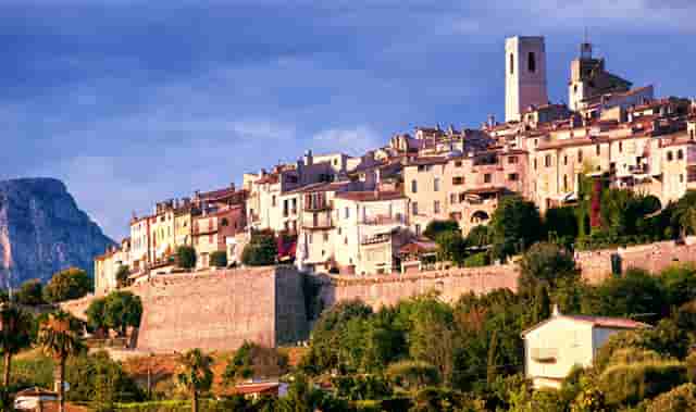 袖虎病猫攻略：猫咪感冒怎么办