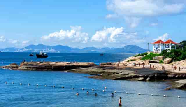 进入热门宠物行业，“口碑王”袖虎宠物带你成功！