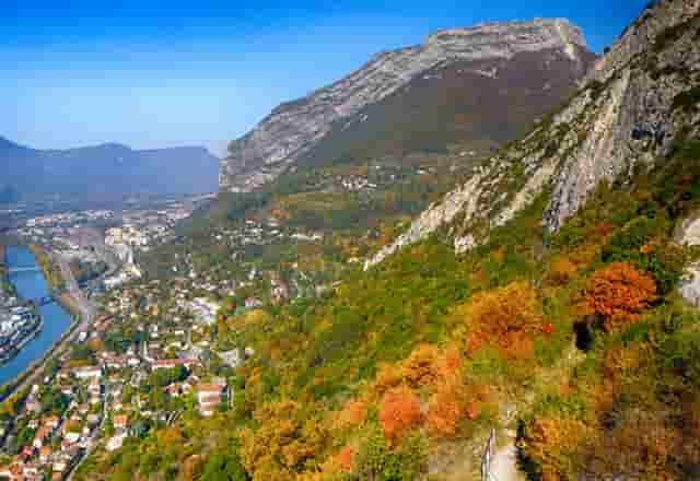 袖虎病猫攻略：猫咪发情原因