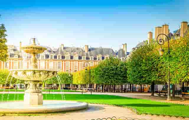 袖虎病猫攻略：猫咪肠梗阻的症状