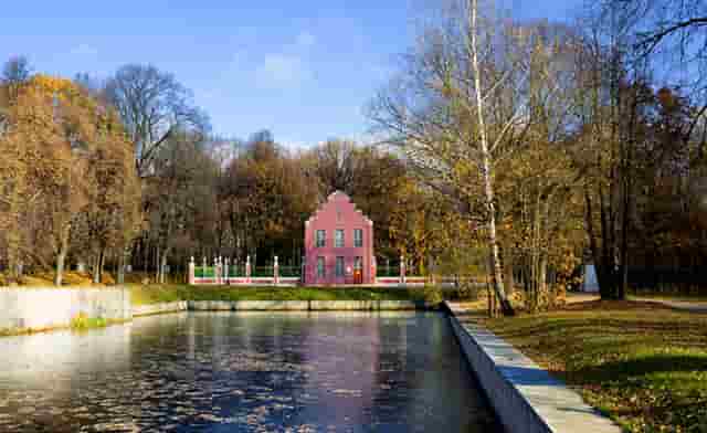 袖虎病猫攻略：小心换粮会软便！