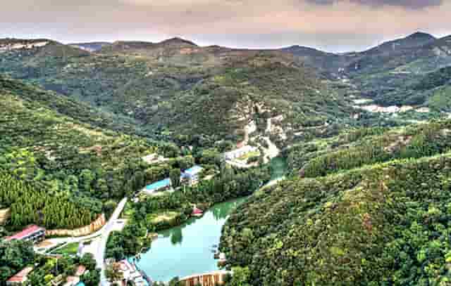 袖虎病猫攻略：捡到幼猫怎么养