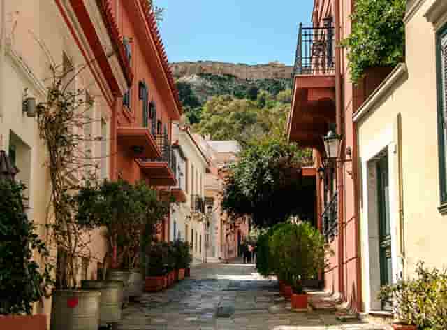 袖虎宠物解读宠物行业是否存在加盟骗局？