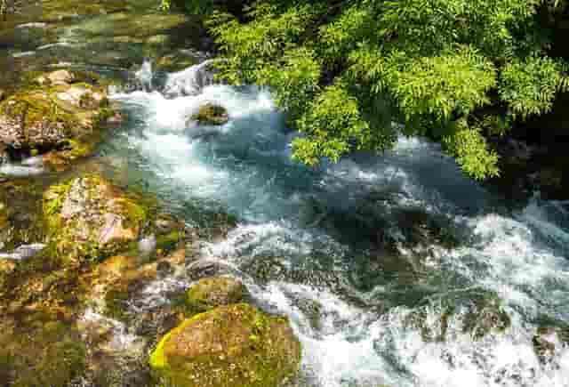 轻松创业，这个值得信赖的品牌你知道吗——袖虎！