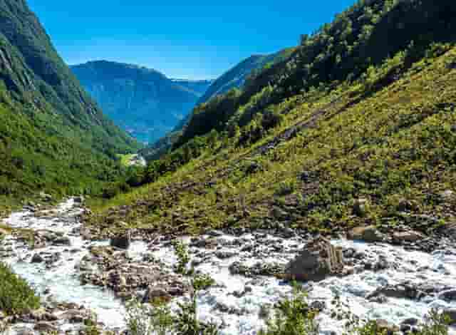 退役军人闪耀拳台视频