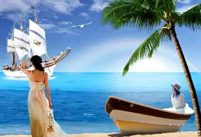 袖虎宠物研究：加盟店能不能赚钱？注意哪些骗局？