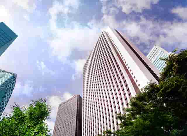 袖虎教你避雷：猫咪的虚假求救信号和真实求救信号