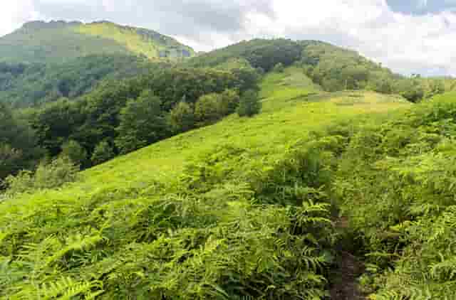 装修房子做什么装饰好(装修房子开工第一天需要做什么)