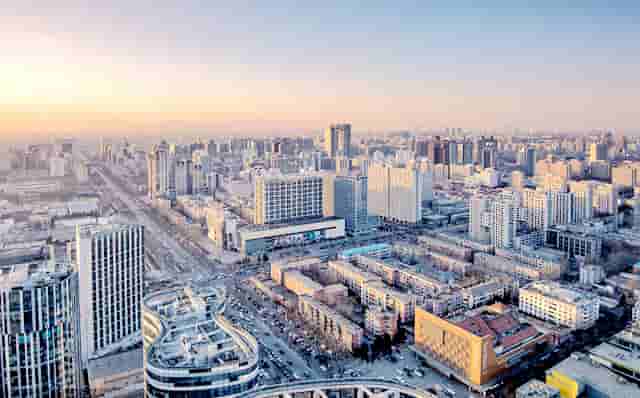 袖虎病狗攻略：狗狗掉毛多是有病的表现吗？